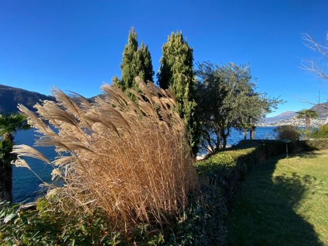 Ferien Am Luganer See Mit Seesicht 比索内 外观 照片